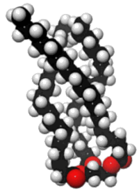 molekuly_triglycerid
