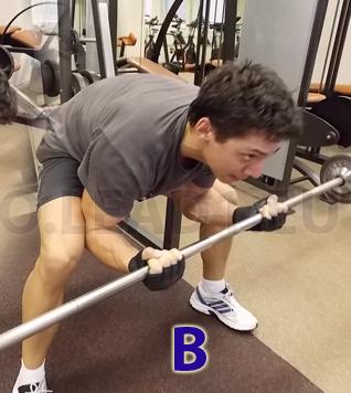 technika cviku - Bicepsový zdvih s veľkou činkou  v predklone 