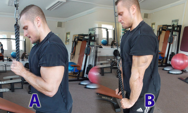 Tricepsová kladka s  lanovým držadlom v stoji
