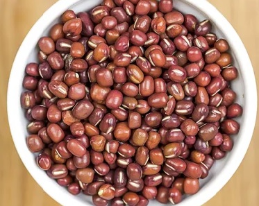 Fazuľa červená - adzuki (azuki)