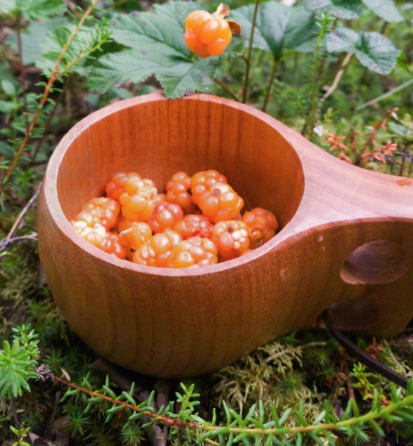 Černica moruška - surová