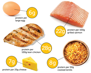 potraviny obsahujúce kvalitné bielkoviny a predsa každá z nich má odlišné zloženie aminokyselín